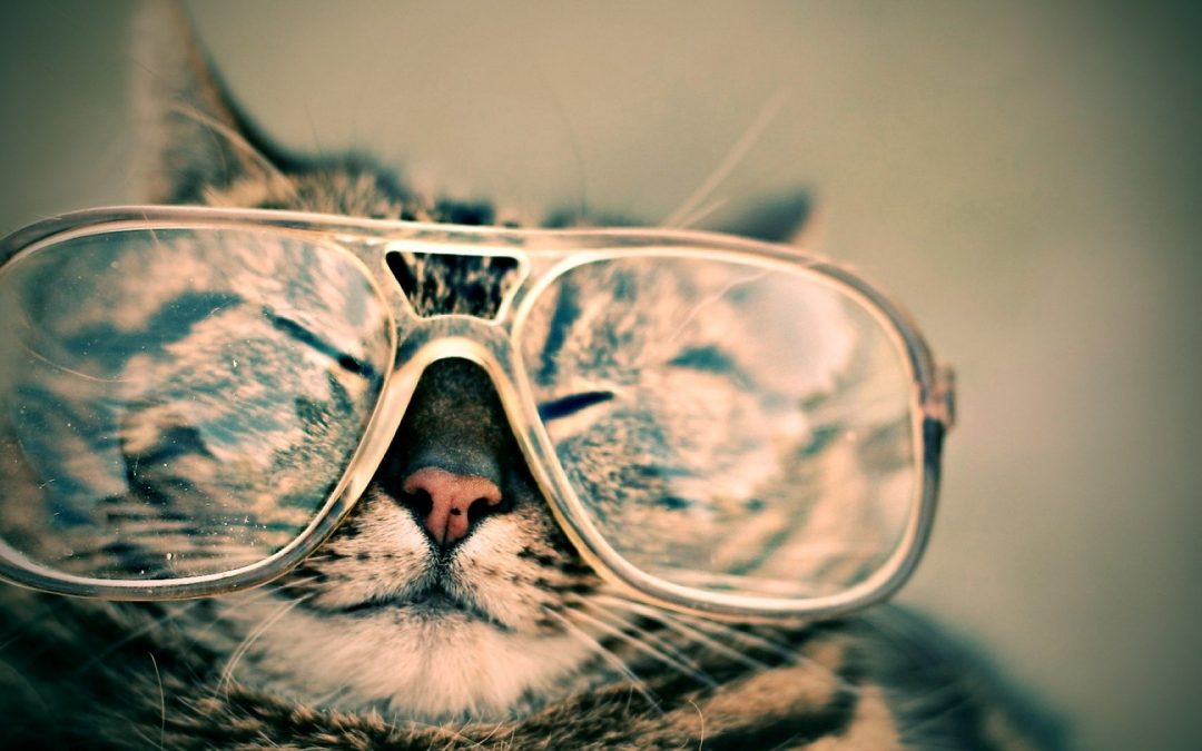 Do you have a property vision for 2020?
